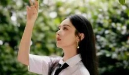 娱乐圈顶流吃瓜小说,瓜田里的璀璨星辰