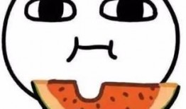 吃瓜的表情是什么意思图片,网络热词背后的趣味与内涵