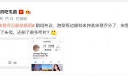 娱乐吃瓜宋慧乔微博