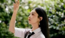 娱乐吃瓜君顶流,顶流明星背后的故事与真相