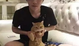 王源吃瓜娱乐圈