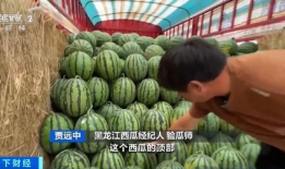 娱乐吃瓜香,吃瓜香背后的精彩故事