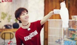 王源吃瓜娱乐圈