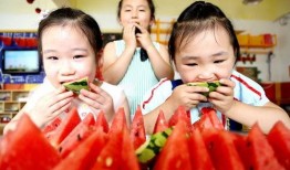 吃瓜活动主题,一场别开生面的吃瓜盛宴