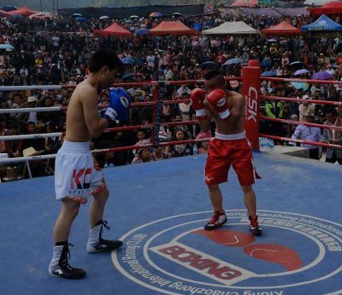 吃瓜娱乐拳击比赛视频在线观看