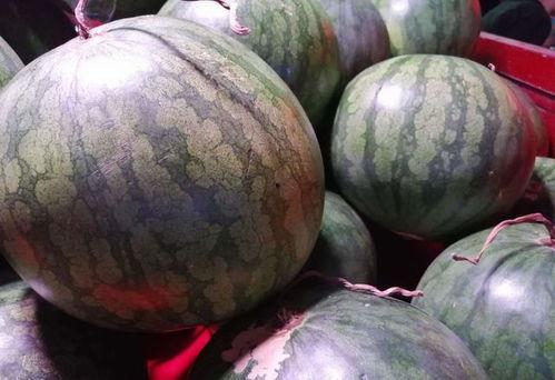 娱乐圈吃瓜买西瓜,娱乐圈瓜田乐享西瓜时光