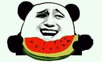 娱乐吃瓜君遛鸟大师是谁,揭秘娱乐吃瓜君背后的神秘人物