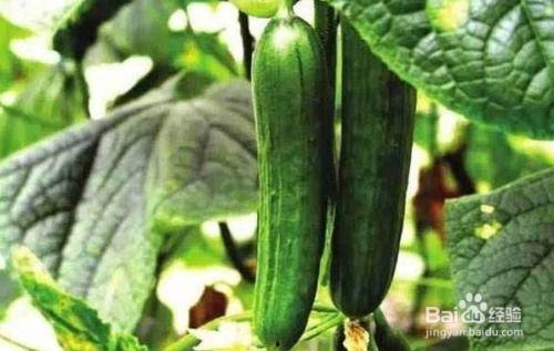 糖豆豆娱乐圈吃瓜合集,揭秘明星幕后故事，吃瓜合集大放送